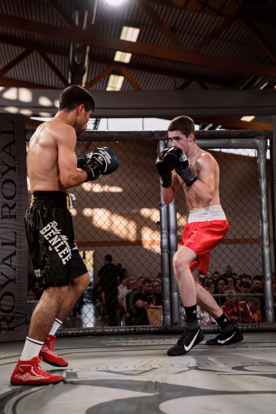 Night of the Fighters 2025 | Webixel Werbeagentur