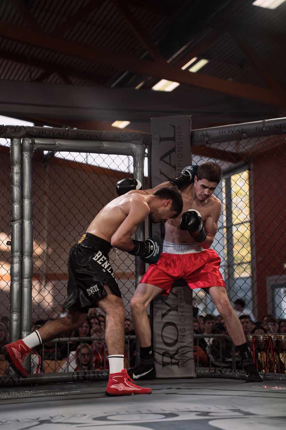 Night of the Fighters 2025 | Webixel Werbeagentur