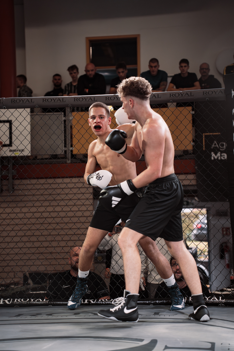 Night of the Fighters 2025 | Webixel Werbeagentur