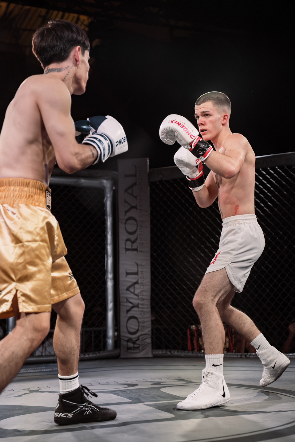 Night of the Fighters 2025 | Webixel Werbeagentur
