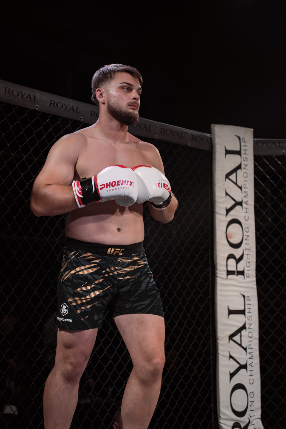 Night of the Fighters 2025 | Webixel Werbeagentur