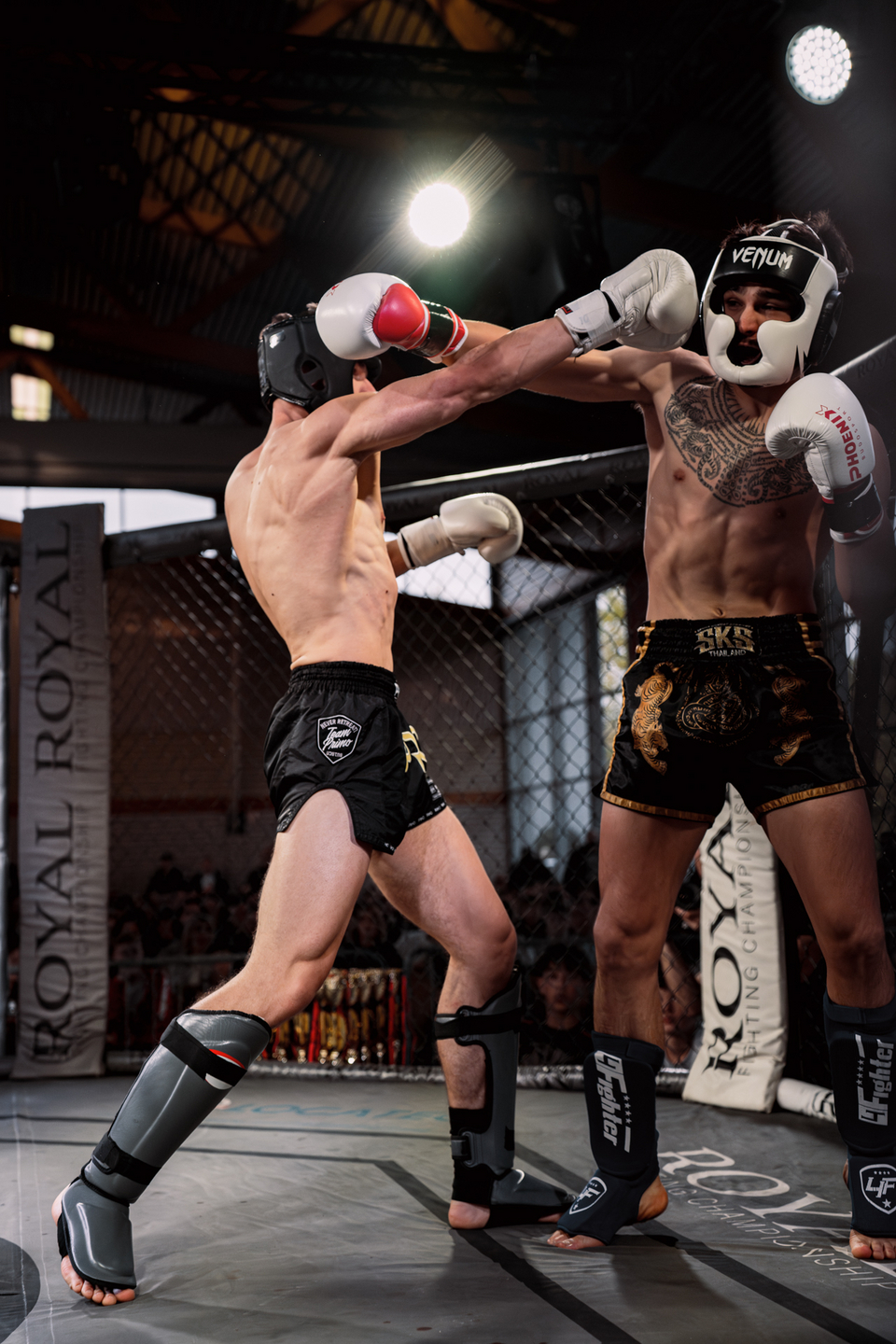 Night of the Fighters 2025 | Webixel Werbeagentur