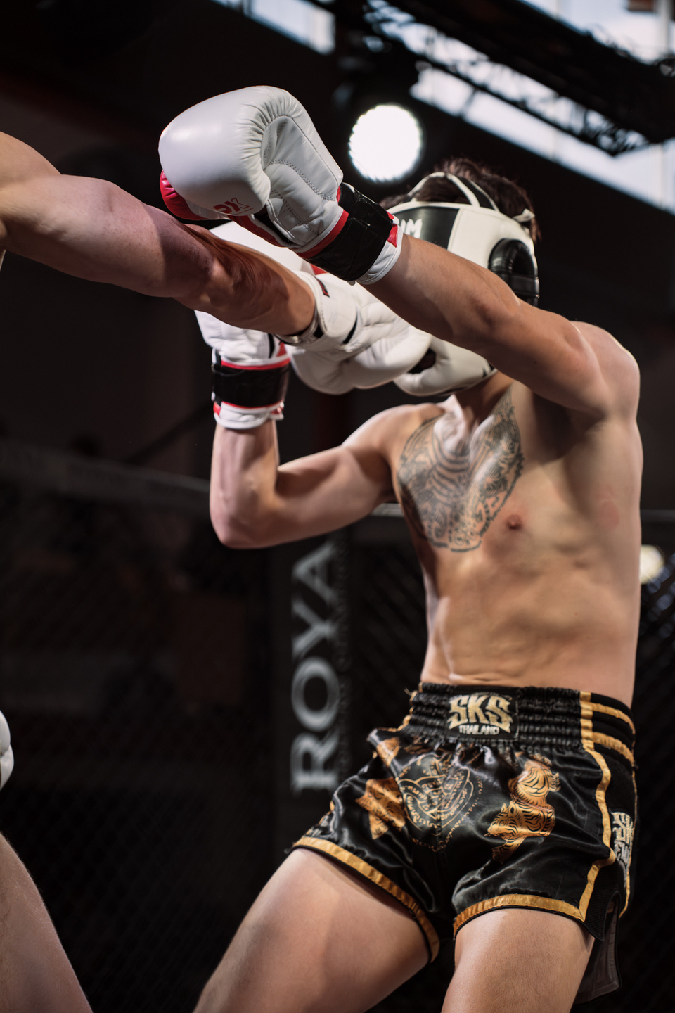 Night of the Fighters 2025 | Webixel Werbeagentur