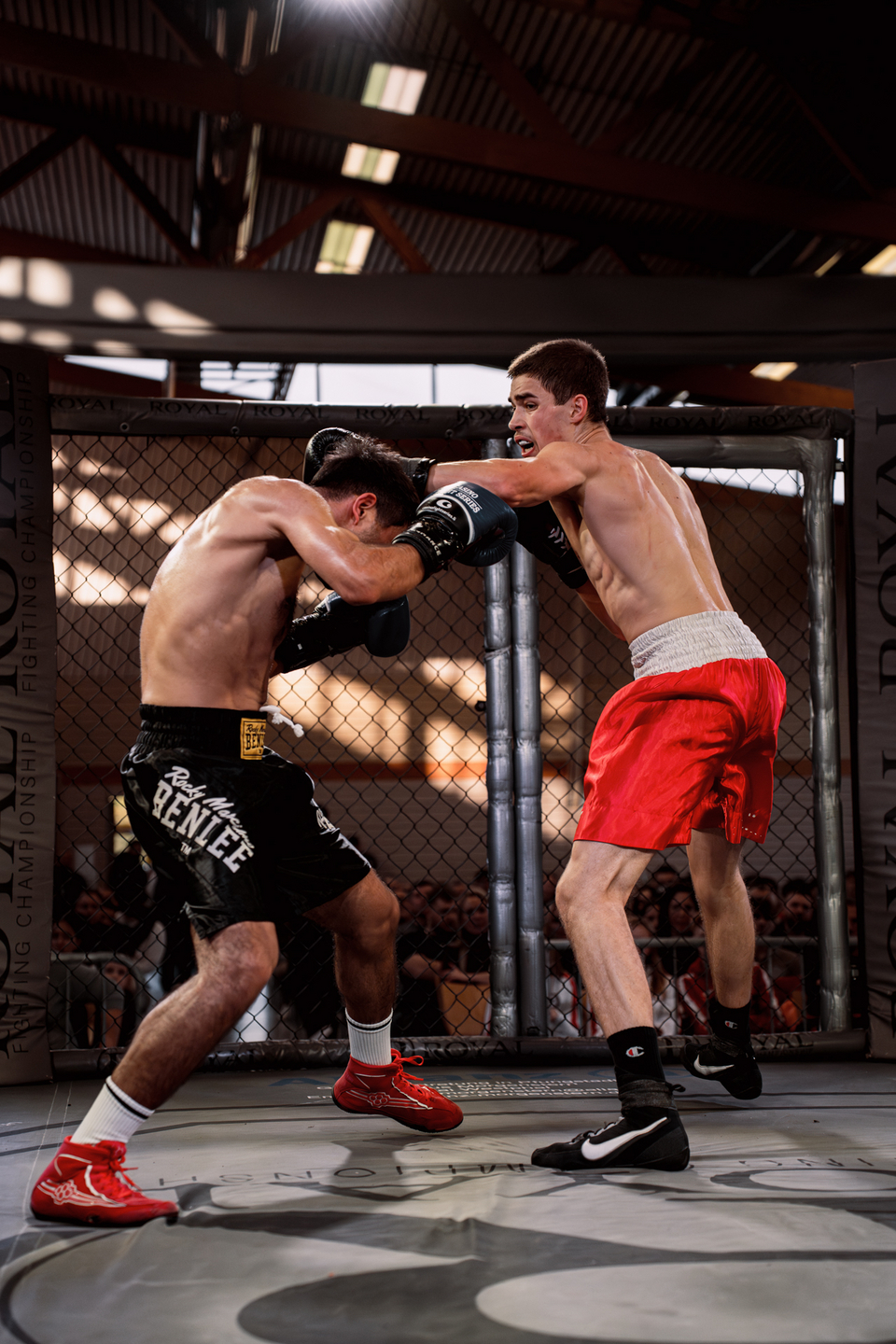 Night of the Fighters 2025 | Webixel Werbeagentur