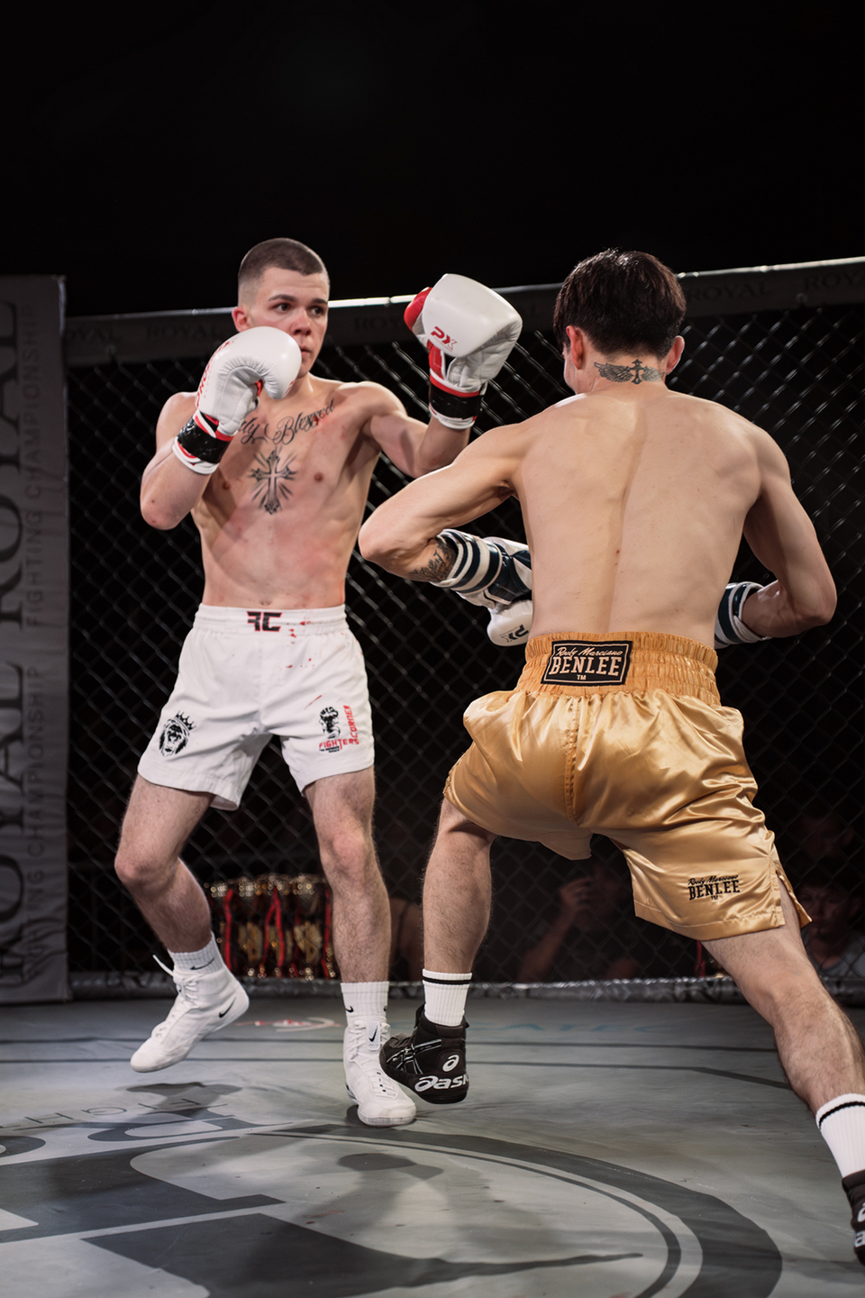 Night of the Fighters 2025 | Webixel Werbeagentur