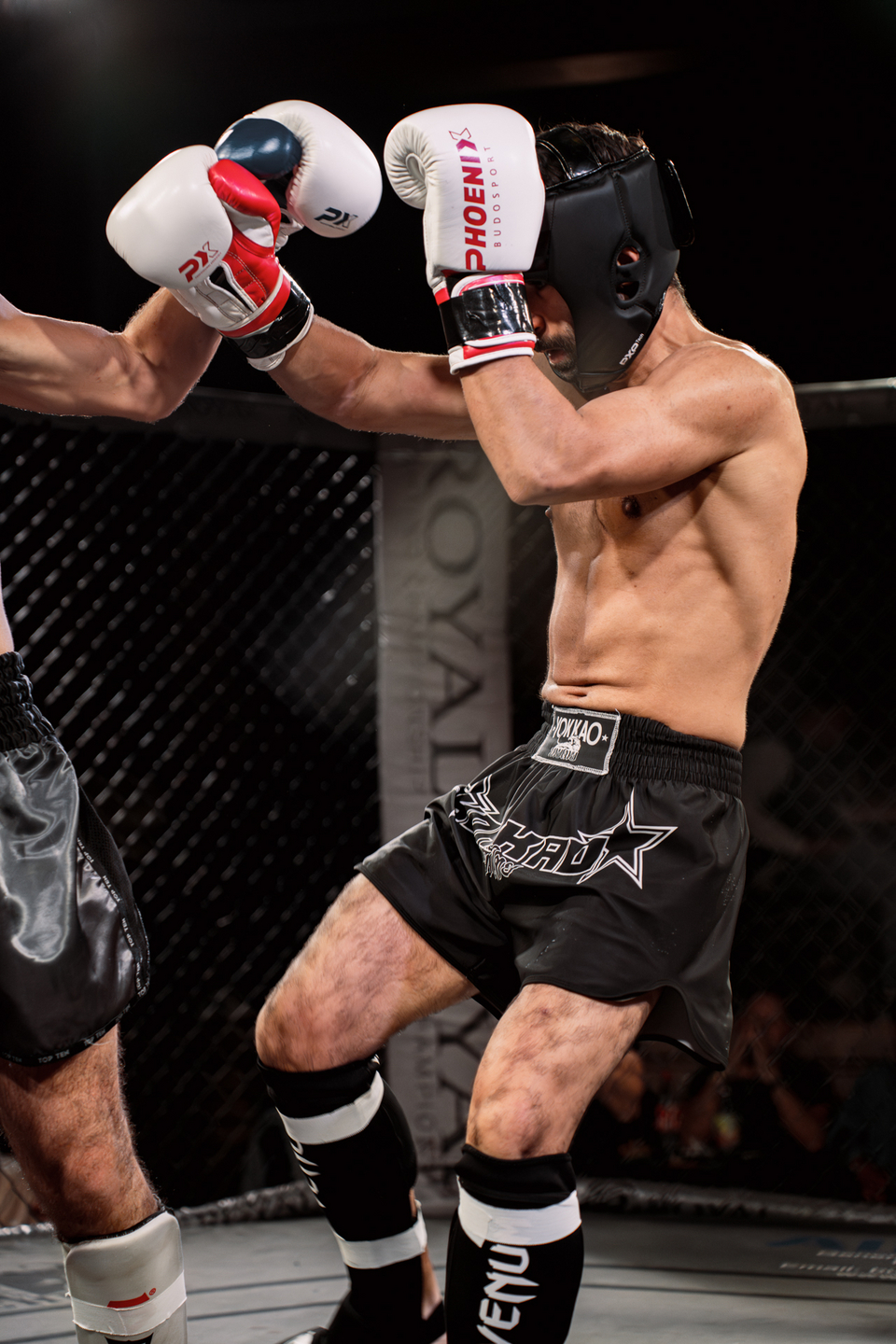 Night of the Fighters 2025 | Webixel Werbeagentur