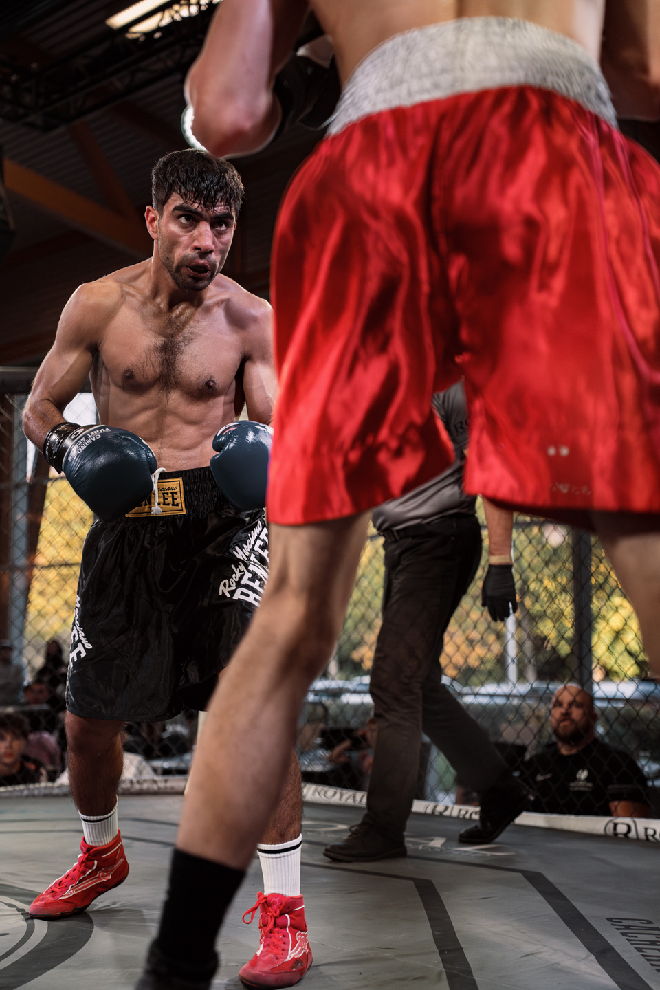 Night of the Fighters 2025 | Webixel Werbeagentur